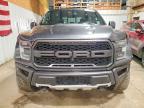 2019 Ford F150 Raptor