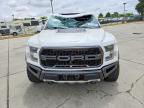 2019 Ford F150 Raptor