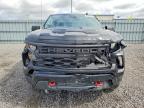 2026 Chevrolet Silverado K1500 Trail Boss Custom