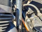 2020 Harley-Davidson XL883 N