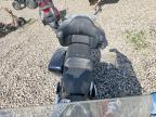 2023 Indian Motorcycle Co. Roadmaster Limited