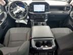 2024 Ford F150 STX