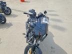 2019 Harley-Davidson XL1200 NS