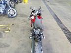 2025 Triumph Daytona 660