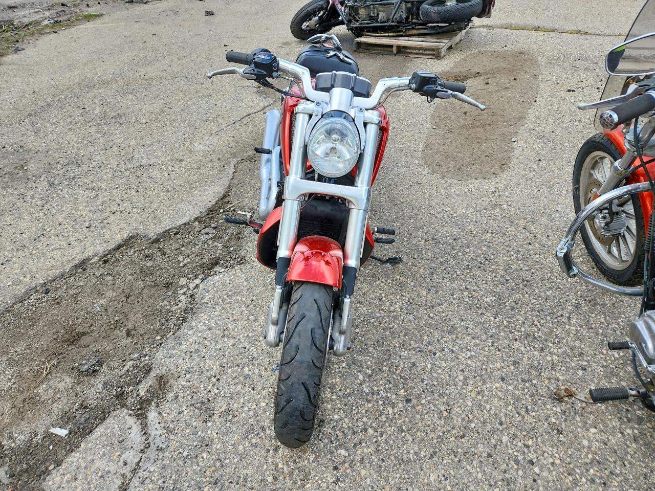 2013 Harley-Davidson Vrscf Vrod Muscle