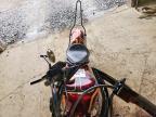 2000 Harley-Davidson XL1200 C