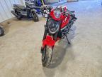 2024 Ducati Monster