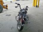 2001 Harley-Davidson Flstci