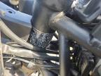 2023 Kawasaki 2023 Kawa EX650 P