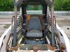 2005 Bobcat T109