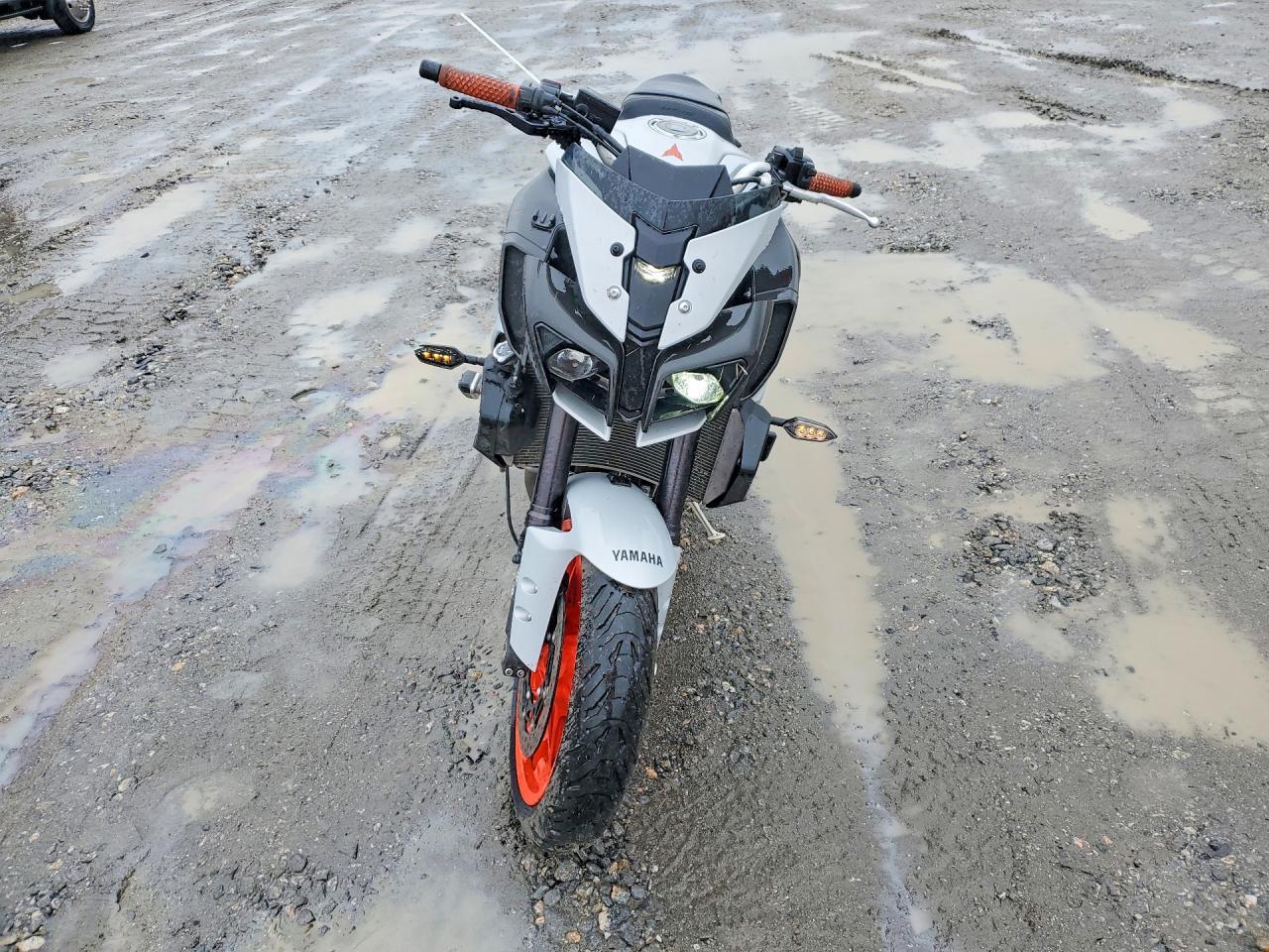 2019 Yamaha MTN1000