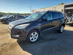 Ford Escape salvage cars for sale: 2014 Ford Escape se