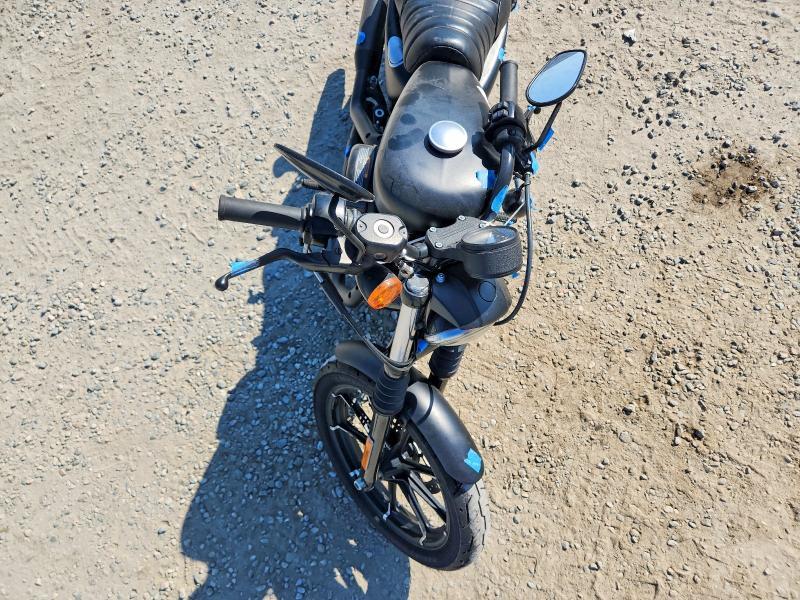 2022 Harley-Davidson XL883 N