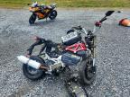 2020 Vitacci Scooter