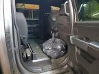 2025 Ford F150 XLT