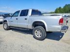 2001 Dodge Dakota Quattro