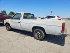1990 Nissan D21 Long BED