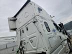 2021 Freightliner Cascadia 126 Semi Truck