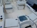 2012 Everglades Trident