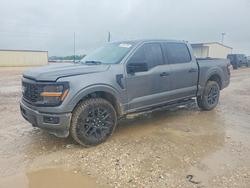 2025 Ford F150 STX en venta en Temple, TX