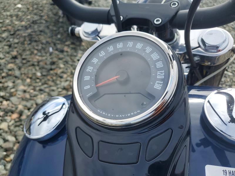 2019 Harley-Davidson Flsl