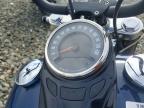 2019 Harley-Davidson Flsl