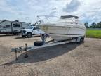 1999 Seadoo 240 Sundancer