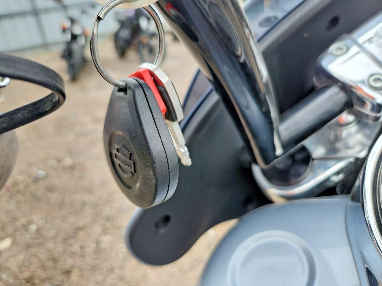 2019 Harley-Davidson Flsb