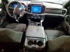 2025 Ford F150 XLT