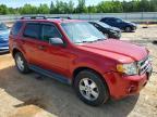 2009 Ford Escape xlt