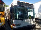 2010 Gillig Transit Bus Low