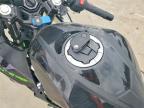2024 Kawasaki EX500 A