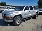 2001 Dodge Dakota Quattro