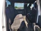 2024 Ford F150 STX