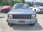 1989 Jeep Comanche Pioneer