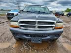 2004 Dodge Dakota SXT
