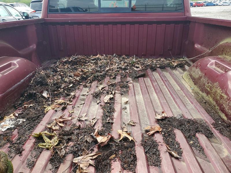2003 Dodge Dakota sxt