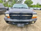 2001 Dodge Dakota Quattro