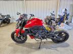 2024 Ducati Monster
