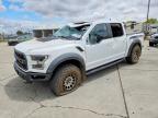 2019 Ford F150 Raptor