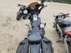 2001 Harley-Davidson Flstci