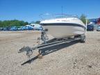 2002 Chaparral Sandpiper