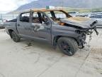 2020 Toyota Tundra TRD PRO