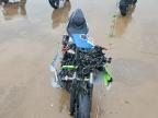 2024 Kawasaki EX500 H