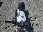 2022 Doms 2022 Dongfang DF250RTD Sportster 250CC Chop