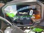 2025 Kawasaki EX500 A