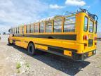 2023 Ic Bus PB105 School Bus