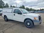 2013 Ford F150