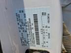 2024 Ford F150 STX