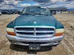 2003 Dodge Dakota Quad SLT
